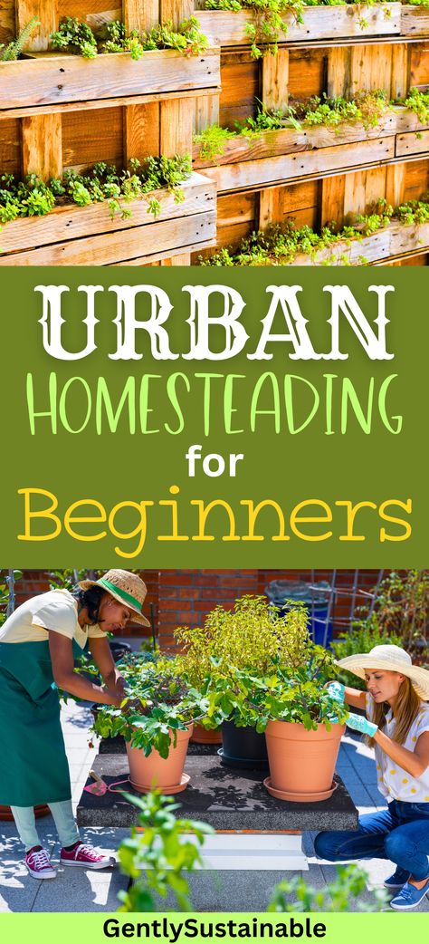 Permaculture, Living Self Sufficient, How To Homestead In The City, Homestead In The City, Urban Homesteading Backyard Small Spaces, Homesteading In The City, Self Reliant Living, Urban Homesteading Ideas, Smallholding Ideas