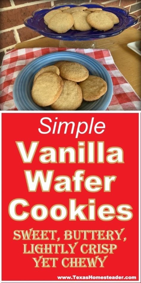 Easy Vanilla Wafer Cookie Recipe Uses Simple Ingredients & Bakes Up FAST! ~ Texas Homesteader ~ Vanilla Wafer Cookies Recipe, Vanilla Wafer Cookie Recipe, Homemade Vanilla Wafers Recipe, Vanilla Wafers Recipe, Monster Recipes, Wafer Cookie Recipe, Vanilla Wafer Recipe, Wafers Recipe, Vanilla Cookie Recipe