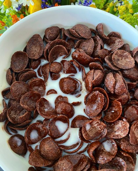 Although I loooove my smoothie bowls and oatmeals, sometimes a simple bowl of chocolate crisps is what I crave 🤎🤤 Sooo, I want it, I got it 😏  ⠀⠀⠀⠀⠀⠀⠀⠀⠀ What are your favorite breakfast cereals? 😊️ ⠀⠀⠀⠀⠀⠀⠀⠀⠀ #nutrirout ---------------------------------------------------------------------------- #smoothie #aesthetic #healthybreakfast #breakfastidea #getfit #vegan #veganfood #veganweighloss #veganhealthy #vegandeutschland #veganhannover #nutritionist #nutritionisthannover #cereals #chocolate # Essen, Smoothie Aesthetic, Chocolate Cereal, Smoothie Bowls, Homemade Snacks, Morning Food, I Got It, Satisfying Food, Food Obsession