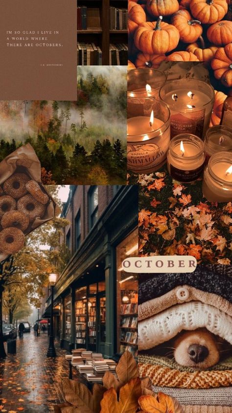 made by me :) Fall Aesthetic Witch, October Wallpapers Iphone, Moody Fall Wallpaper, Fall Wallpaper October, Fall Moodboard Aesthetic, October Screensaver, Autumn Cottage Core, October Mood, Cute October Wallpaper