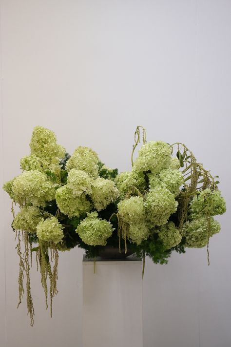 Green hydrangeas and hanging amaranthus Green Amaranthus Arrangement, Green Amaranthus Wedding, All Green Wedding Bouquet, Hanging Amaranthus Bouquet, Amaranthus Centerpiece, Amaranthus Arrangement, Amaranthus Wedding, Amaranthus Bouquet, Green Hanging Amaranthus