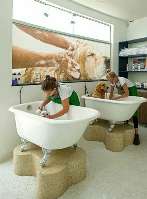 Pet Grooming Salon Design, Pet Grooming Salon Ideas Design, Petshop Design Pet Store, Dog Grooming Salon Decor, Hotel Pet, Pet Store Design, Pet Store Ideas, Animal Shop, Pet Cafe