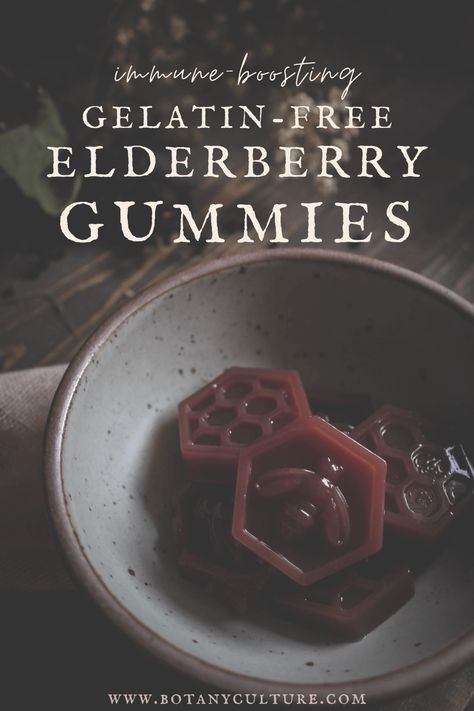 Elderberry Gummy Recipe, Elderberry Juice, Gummies Recipe, Elderberry Gummies, Plant Medicine, Elderberry Syrup, Boost Immunity, Herbal Infusion, Asian Desserts