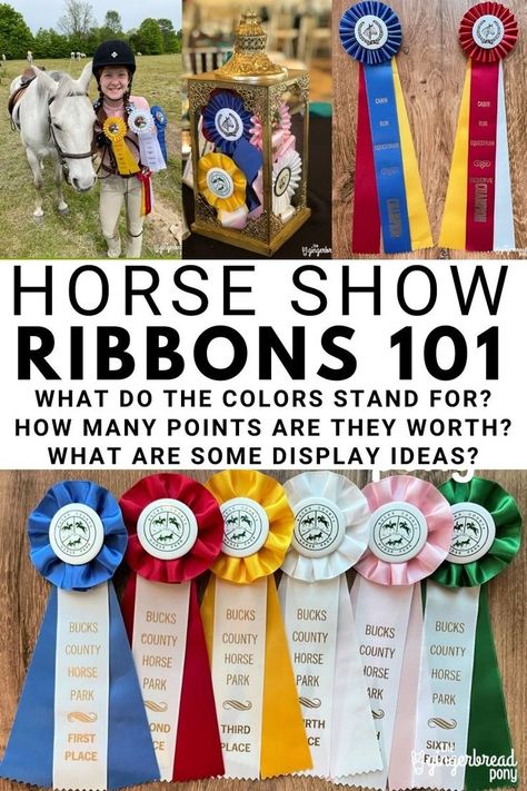 Let's jump right into some Horse Show 101 for this post and talk about: RIBBONS! Have you ever wondered what the different colors stand for when it comes to horse show ribbons? Let's find out! We will discuss ribbon colors, ribbon point values, how to win Champion and Reserve Champion and even some ideas for how to display your horse show ribbons and prizes at home! #thegingerbreadpony #horses #equestrian #horseshow Display Horse Show Ribbons, Horse Ribbons Display Ideas, Horse Ribbon Display, Show Ribbon Display, Horse Show Ribbons, Horse Ribbons, Ribbon Display, Horse Lessons, Horses Equestrian