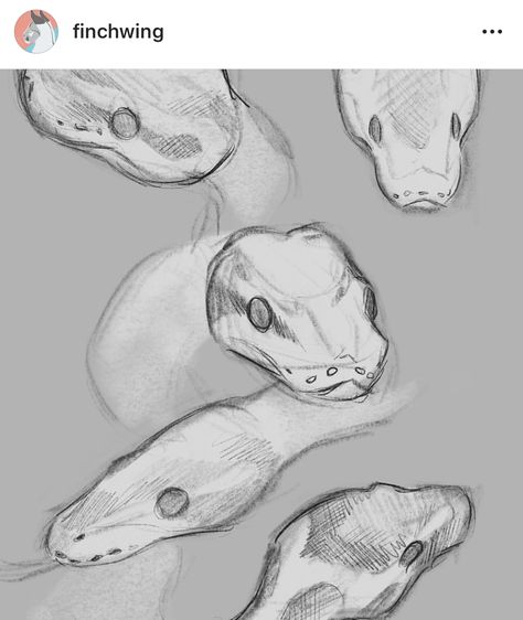 Pose Ideas Drawing, Snake Drawing, Animal Drawings Sketches, Snake Art, Creature Drawings, Arte Sketchbook, Content Warning, Animal Sketches, Anime Drawings Tutorials