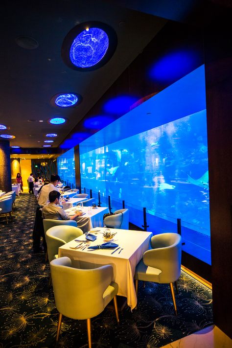 SEA Aquarium Restaurant - 7 Things You Can’t Miss at Sentosa Island Aquarium Restaurant Design, Aquarium Cafe, Mermaid Restaurant, Singapore Lifestyle, Aquarium Restaurant, Sea Restaurant, Resturant Interior, Sentosa Island Singapore, Ocean Restaurant