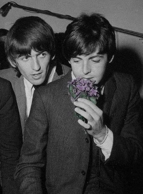 Paul And George, Beatles Paul Mccartney, Beatles George Harrison, Beatles George, Beatles Love, Beatles Photos, Beatles Pictures, We Will Rock You, Rock And Roll Bands