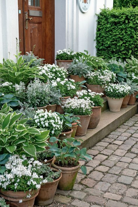 Container Gardening Flowers, Moon Garden, Garden Containers, White Gardens, Rustic Garden Decor, Garden Cottage, Rustic Gardens, Small Gardens, Front Garden