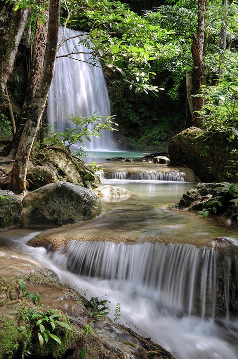 Waterfall In Forest, Waterfall Wallpaper, Waterfall Pictures, Forest Waterfall, Waterfall Art, Waterfall Paintings, Waterfall Landscape, Beautiful Scenery Pictures, Scenery Pictures