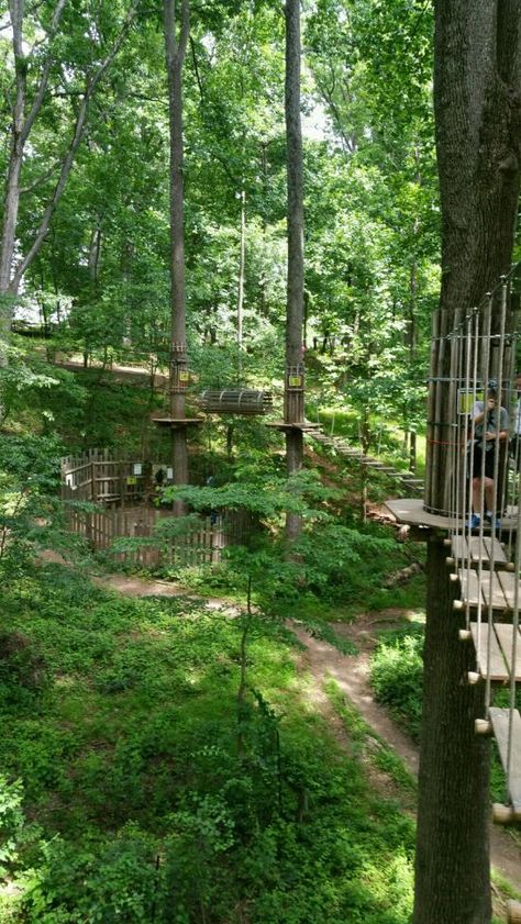 Go Ape Treetop Adventure, Aventura Park, Thetford Forest, Victoria Monét, Centre Parcs, Camp America, Ninja Warrior Course, Forest Games, Wilderness Retreat