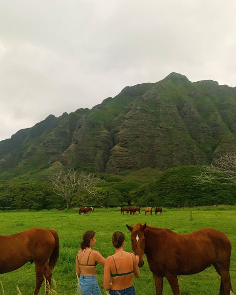 Tropical Fall Aesthetic, Native Hawaiian Aesthetic, Hawaii Poses, Tropical Vacation Aesthetic, Mallory Aesthetic, Hawaii Farm, Uh Manoa, Hawaii Photoshoot, Hawaii Mountains