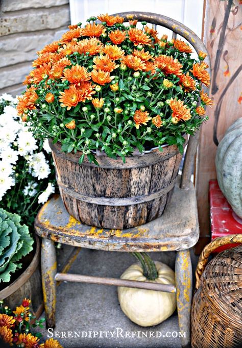 Colour Emotion, Harvest Porches, Outside Fall Decor, Bushel Baskets, Apple Baskets, Primitive Fall, Fall Country, Fall Deco, Autumn Decorating