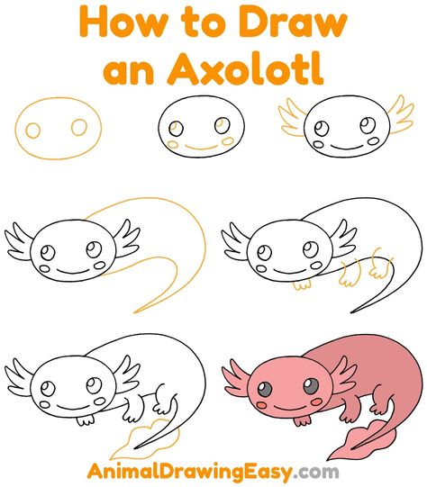 How to Draw an Axolotl Step by Step #Axolotl #CuteAxolotl #CartoonAxolotl #EasyAxolotlDrawing #EasyDrawings #EasyDraw #AxolotlDrawingTutorial #AxolotlDrawings #AxolotlSketch #AxolotlCartoon #AxolotlArt #AmphibianDrawings Axolotl Drawing Tutorial, How To Draw An Axolotl Step By Step, Axolotl Girl Scouts, How To Draw Axolotl Easy, Axolotl Art Project, Axolotl Activities For Kids, Axolotl Craft Ideas, Axolotl Painting Easy, Diy Axolotl Crafts