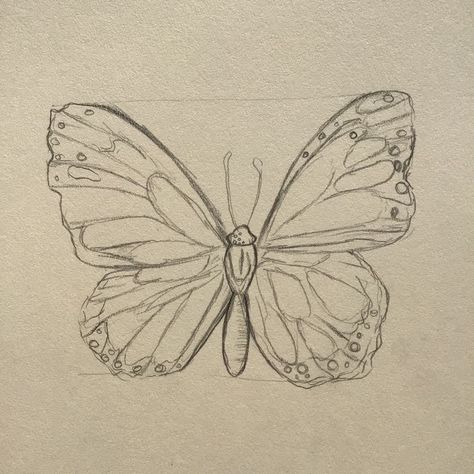 Drawing Reference Butterfly, Drawing Butterfly Aesthetic, Two Butterfly Drawing, Sketches Of Butterfly, Monarch Butterfly Drawing Outline, Buterfluffy Sketch, Sketch Ideas Butterfly, Big Butterfly Drawing, Butterfly Wing Drawing