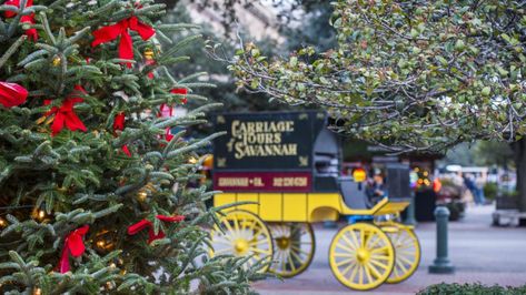 These Savannah Spots Have the Most Festive Holiday Decor Christmas Tours, Family Christmas Cards, Festive Holiday Decor, Sparkling Lights, Christmas Lovers, Breathtaking Beauty, Holiday Lights, Festive Holiday, Christmas Market