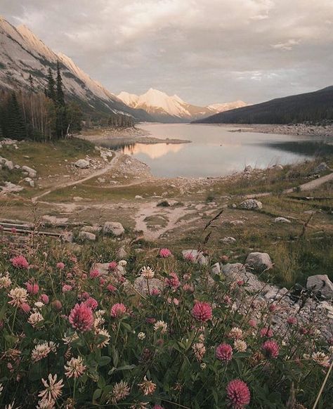 Time to run in the wildflowers swim in the lakes and climb up the mountains! Photo by @monascherie #MyJasper Jasper Canada, Time To Run, 심플한 그림, Matka Natura, Mountain Photos, Instagram Time, Nature Aesthetic, Pics Art, The Nature