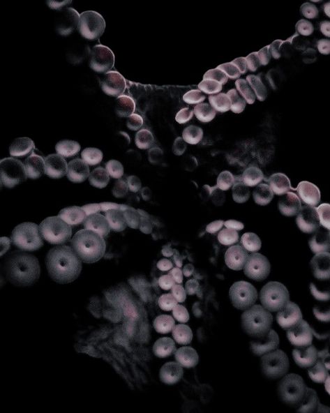 Tentacle Aesthetic, Kraken Aesthetic, Ursula Aesthetic, Black Tentacles, Octopus Aesthetic, Candle Aesthetics, Pixie Aesthetic, Projector Photography, Giant Octopus