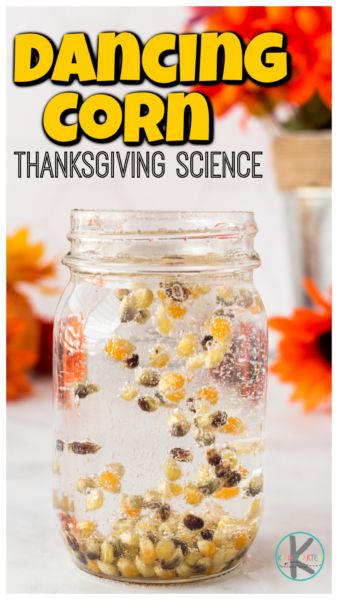 Turkey Science, Dancing Corn, Thanksgiving Science, Pumpkin Math Activities, November Lesson Plans, New Christmas Crafts, Harvest Activities, November Preschool, Thanksgiving Math Activities