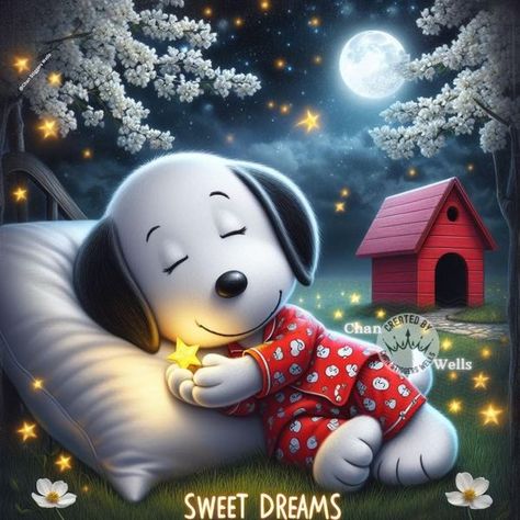 Snoopy Nation | ❤️🤍✨Good Night ✨🤍❤️ | Facebook Peanuts Good Night, Good Night Disney, Good Night Cartoon, Snoopy Good Night, Good Night Snoopy, Funny Good Night Pictures, Sun Healing, Funny Good Night, Snoopy Sleeping