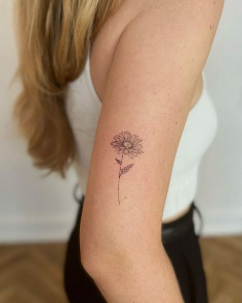 Simple Daisy Tattoo Delicate Daisy Tattoo, White Daisy Tattoo, Daisy Tattoo Ideas, Daisy Tattoo Meaning, Small Minimalist Tattoo, Daisy Chain Tattoo, Small Daisy Tattoo, Daisy Tattoo Designs, Daisy Flower Tattoos