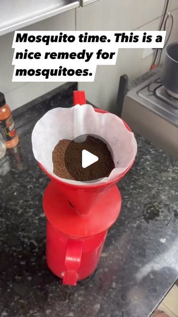 Maryrose Ezeagonsi on Instagram: "Use this remedy to stop mosquito around your house #Everyone # Highlight #Follow" Chicken Bacon Ranch Pasta Salad, Mosquito Repellent Homemade, Diy Mosquito Repellent, Chicken Bacon Ranch Pasta, Creative Videos, Ranch Pasta, Carpenter Bee, Inside Plants, Chicken Bacon Ranch