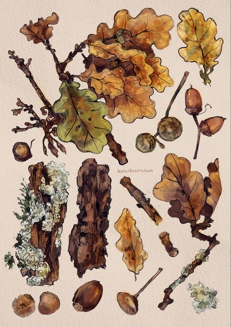 Fall Tree Sketch, Autumn Plants Illustration, Fall Botanical Illustration, Watercolor Oak Leaves, Forestcore Drawing, Autumn Botanical Illustration, Autumn Trees Drawing, Oak Leaves Drawing, Oak Tree Aesthetic