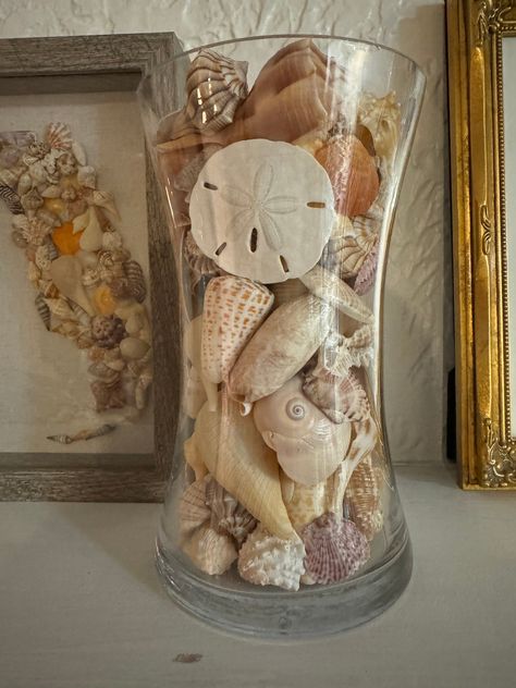 "Shells have some imperfections, some nearly noticeable. All shells were found, cleaned, and polished. This is a custom piece, all shells were placed one by one. Ready to display for decor in a built-in, shelf, or any other area that has a coastal/beach vibe. No live shelling involved. Cylinder 8\" tall with an opening of 4.5\" wide mouth. 1 lb 7oz of shells used in this piece. Shells included:  - sand dollar - lightning whelk - scallop - florida fighting conch - common nutmeg - apple murex  - paper figs  - spiny jewel box  - lettered olive - shark's eye - banded tulip - sunray venus  - horse conch  - turkey wing - alphabet cone  - pear whelk - calico clam - top shell  - chestnut turban  - true tulip  -  Hours to complete (cleaning shells, polishing, arranging): 7" Fall Seashell Decor, Display Shells From Beach, Shell Bathroom Decor, She’ll Display, Seashell Collection Display, How To Display Seashells, How To Display Shells, Shell Collection Display, Sea Shell Display Ideas