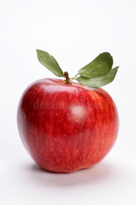 Red apple. On a white background , #spon, #apple, #Red, #background, #white #ad Apple Reference Photo, Apples Pictures, Apple Reference, Apple Still Life Photography, Apple Still Life Reference, Apples Still Life Photography, Drawing Of An Apple, Apple Photography Fruit, Apple Pictures