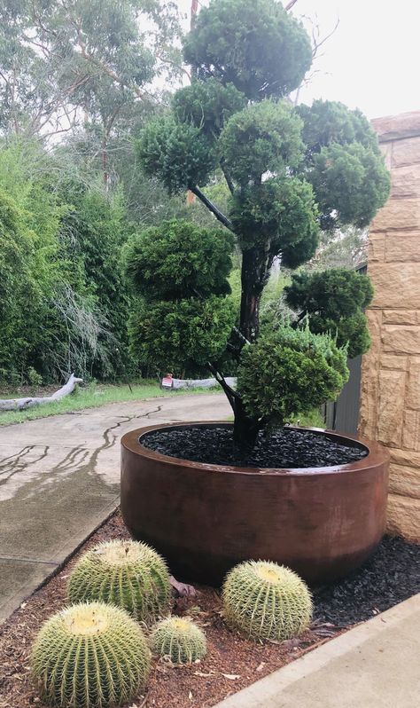 Giant Planter Ideas, Giant Pots Planters, Big Garden Pots, Big Plant Pots, Large Round Planters Outdoor, Giant Planters Large Pots, Big Planters Outdoor Ideas, Large Pot Garden Feature, Large Pot Water Feature