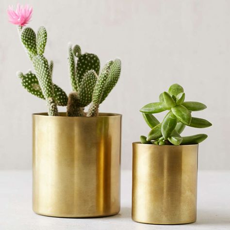 Brass Planter, Decor Pillows, Metal Planters, Small Planter, Large Planters, Room Accessories, Cactus And Succulents, Back To Nature, Interior Trend