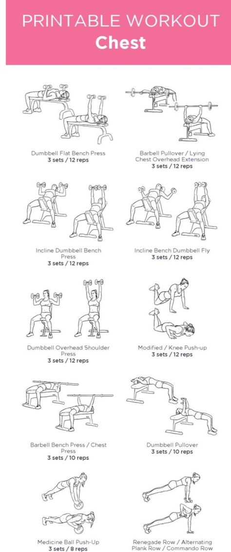 Arm Day Machine Workout, Dumbell Workout With Bench, Dumbbell And Barbell Workouts, Incline Bench Press Dumbbell, Bench Press Dumbell Workout, Weight Bench Dumbell Workout, Arm Day Workout At The Gym For Women, Arm Bench Workout Women, Dumbell Arm Workout Bench