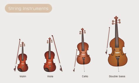 Little Children and the Worlds Smallest Violin Piano, Worlds Smallest Violin, Carol Of The Bells Violin, Instruments Of The Orchestra, Violin Family, Family Tree Maker, Instrument Families, Violin Songs, Carnival Of The Animals