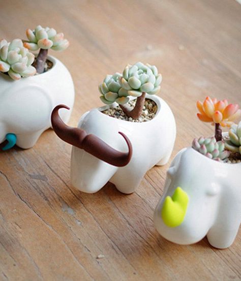 Planters are so much fun! They're just the perfect combination of interior decor and low-maintenance gardening, easy to incorporate just about anywhere that nee Succulent Garden Indoor, Bring Nature Indoors, Cactus Diy, Succulent Art, Animal Planters, Tanah Liat, Mini Succulents, Succulent Terrarium, Unique Plants