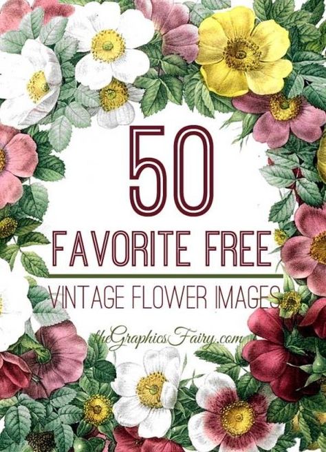 50  Free Vintage Flower  Images! - The Graphics Fairy. So many great freebies to use in Crafts and DIY Home Decor projects! Perfect for Graphics Design , web design, digital Collage or making your own Printables! Couple Drawing, The Graphics Fairy, Free Vintage Printables, Beautiful Flowers Images, Free Printable Art, Graphics Fairy, Instant Art, Vintage Diy, Printable Image