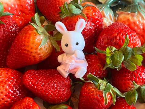 Strawberry Fields, Sylvanian Families, Strawberry Shortcake, Cute Food, Cute Icons, Stuffed Animals, Strawberries, Mood Board, I Am Awesome