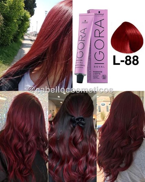 Igora Hair Color, Red Hair Inspo, Wine Hair, Cherry Hair, Hair Color Formulas, Ginger Hair Color, Hair Color Shades, Heatless Hairstyles, Short Hair Tutorial