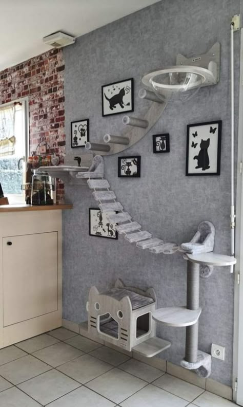 Spooky Room Ideas Bedrooms, Cat House Decor Ideas, Cats Room Design, Cat Closet Ideas Under Stairs, Cattery Ideas Cat Room Diy, Bedroom With Cat Ideas, Cat Room For Multiple Cats, Cat Tree Shelves, Cat Room Wall Ideas