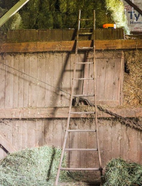 Really great old ladder! Barn Loft Ladder, Antique Library Ladder, Miniature Ladder, Old Wooden Ladders, Short Antique Ladder, Bamboo Ladders, Old Ladder, Wooden Ladder, A Barn