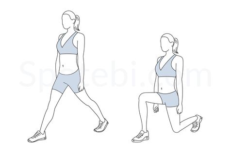 The split squat movement is very similar to the lunge, but it places more emphasis on the hips, glutes and hamstrings and less emphasis on the quads. The split squat also has a reduced lumbar spine loading, when compared to the lunge, and it helps to improve lower body strength and balance. http://www.spotebi.com/exercise-guide/split-squat/ Squat Exercise, Benefits Of Squats, Bench Press Program, Split Squats, Push Workout, Weighted Squats, Back Fat Workout, Calories Burned, Water Aerobics