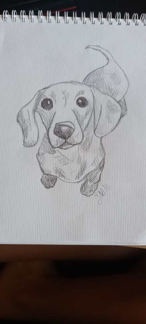 Bobbly art dachshund drawing cute eyes nose slay long wiener dog art long dog Weenie Dogs Drawing, Mini Dog Drawing, Weiner Dog Drawing Easy, Dachshund Puppies Drawing, Drawing A Dachshund, Dachshund Sketch Pencil Drawings, How To Sketch A Dog, Cute Drawings Dogs Easy, Long Dog Drawing