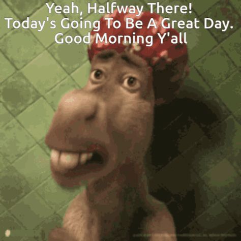 Humpday Halfway There GIF - Humpday Halfway there Good morning wednesday - Discover & Share GIFs Good Morning Wednesday Gifs Funny, Wednesday Humor Good Morning Funny, Humpday Quotes, Good Morning Wednesday Gif, Wednesday Gif, Hump Day Gif, Thursday Gif, Wednesday Hump Day, Hump Day Humor