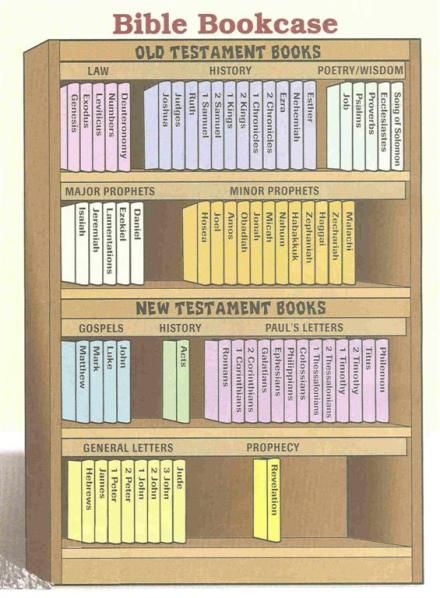 Bible Bookshelf and Reference Books | Pressing On Bible Study Plans, Bible Study Methods, Bible Study Tips, Bible Study Notebook, Bible Study Tools, Bible Notes, Bible Study Notes, Bible Facts, Scripture Study