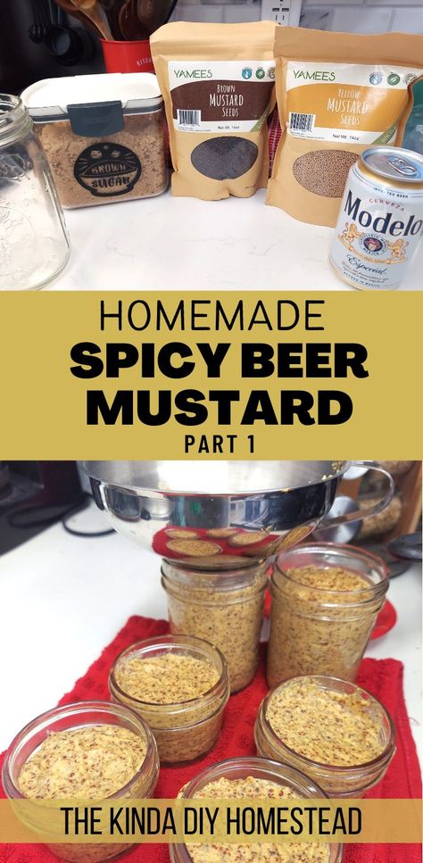 Homemade Spicy Beer Mustard - Part 1 Mustard Recipes For Canning, Spicy Brown Mustard Recipe, Brown Mustard Recipe, Home Made Mustard, Chinese Hot Mustard Recipe, Beer Mustard Recipe, Mustard Recipes, Fermentation Station, Beer Mustard