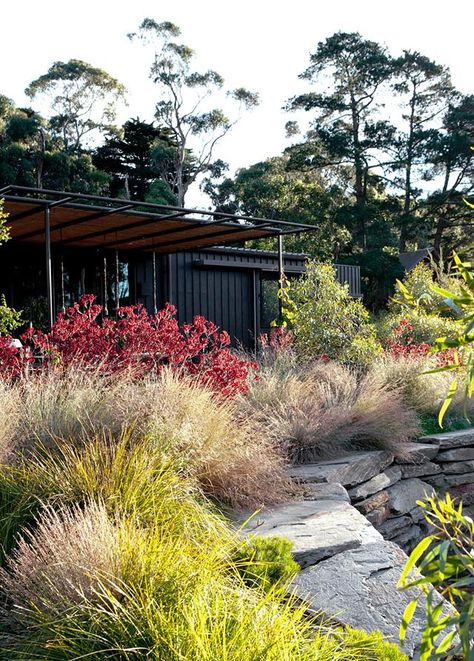 A Mornington Peninsula garden with a picture perfect lake. Walls of stacked stone form the sunken sitting area beside the lake. Tussocks and Banksia spinulosa 'Birthday Candles' soften the edge of the retaining wall. Native Garden Design, Australian Gardens, Australian Garden Design, Villa Architecture, Bee Friendly Garden, Australian Native Garden, Australian Plants, Areas Verdes, Australian Garden