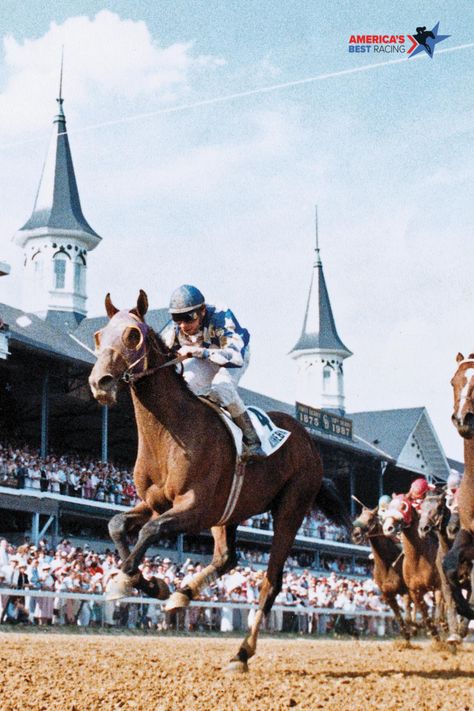 Horse Racing Aesthetic, Dog Racing, Record Painting, Preakness Stakes, Horse Races, Thoroughbred Horse Racing, Race Horse, Belmont Stakes, Horse Race