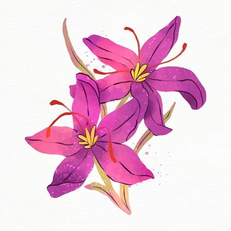 Watercolor saffron illustration | Free Vector #Freepik #freevector Saffron Flower, Flower Illustration, Watercolour Painting, Cherry Blossom, Graphic Resources, Vector Free, Blossom, Tattoos, Flowers