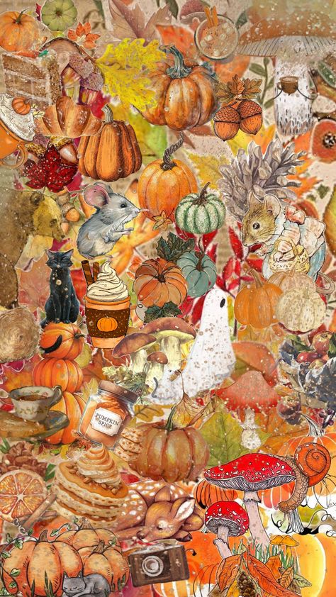 @ellamary29 #comp #fall #fallaesthetic #autumn #autumnaesthetic #autumncore #pumpkin #pumpkins #mushrooms Pumpkin Collage, Thanksgiving Collage, Autumn Collage, Fall Collage, Tech Background, Pink Halloween, Phone Design, Autumn Aesthetic, Cute Wallpaper Backgrounds