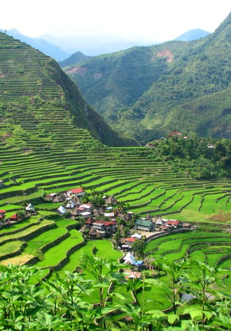 What to see in Batad, a marvel in the north of the Philippines #batad #philippines #visitbatad #manila #travel #traveltophilippines Scenery Beach, Philippines Travel Guide, Siargao Island, Philippines Culture, Siargao, Rice Fields, Rice Terraces, Sanctuary Bedroom, Adventure Vacation