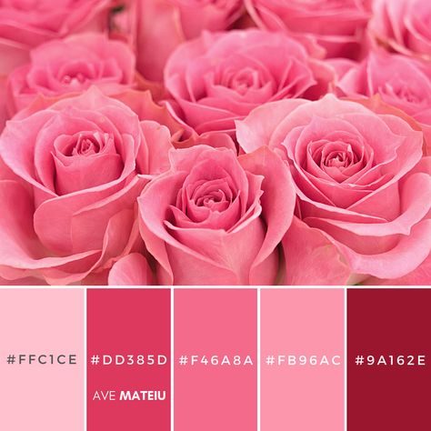 14 Valentine’s Day Color Palettes 2023 with hex codes - Color combination, Color pallets, Color palettes, Color scheme, Color inspiration, Colour Palettes, Art, Inspiration, Vintage, Bright, Blue, Warm, Dark, Design, Yellow, Green, Grey, Red, Purple, Valentine, Fall, Autumn, Winter, Christmas 2023, Nature, Spring, Summer, Flowers, Sunset, Sunrise, Pantone Berry Pink Color Palette, Valentine’s Day Palette, Valentines 2024 Trends, Valentine’s Day Color Palette, Valentines Palette, Valentines Day Color Palette, Pink Palette Color, February Color Palette, Rose Colour Palette