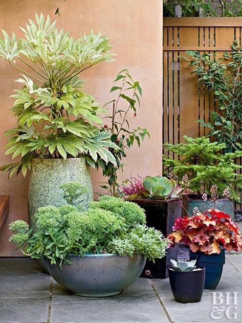 Take advantage of every inch of green space with these small garden strategies! #landscaping #garden Potted Front Yard Landscaping, Gardening In Pots, Deck Plants, Small Garden Pots, Omelet Muffins, Courtyard Patio, Gouache Tutorial, Space Garden, Patio Covers